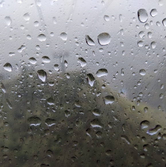 Meet your Posher, Irene - Picture 1 of 1